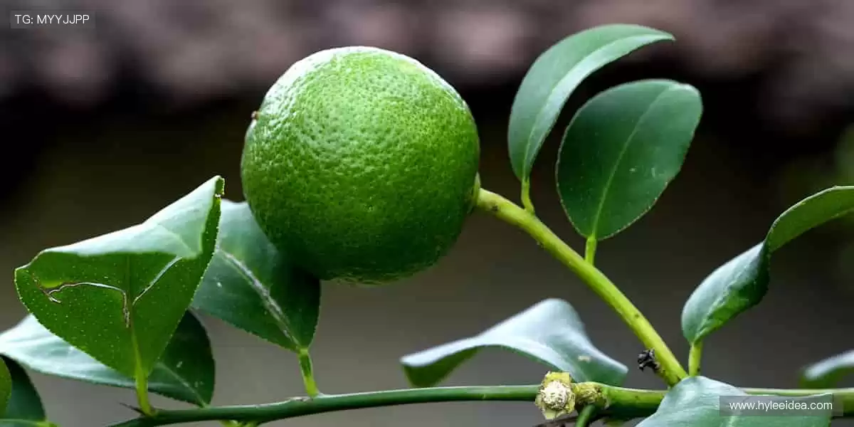 🔥全球赛事同步，你的呐喊永不缺席！